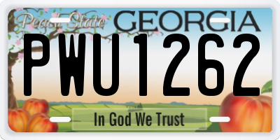 GA license plate PWU1262