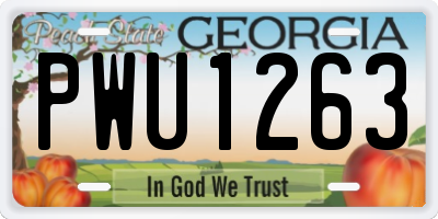 GA license plate PWU1263