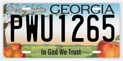 GA license plate PWU1265