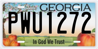 GA license plate PWU1272