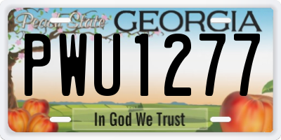 GA license plate PWU1277