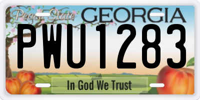 GA license plate PWU1283