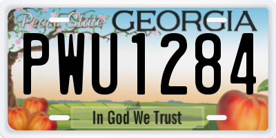 GA license plate PWU1284