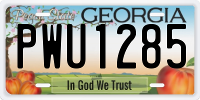 GA license plate PWU1285