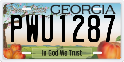 GA license plate PWU1287