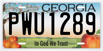 GA license plate PWU1289