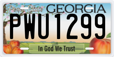 GA license plate PWU1299