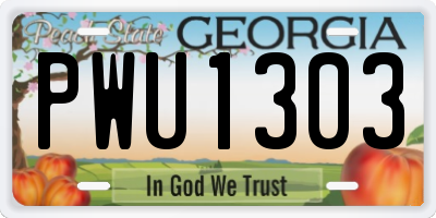 GA license plate PWU1303