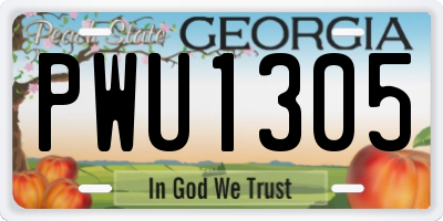 GA license plate PWU1305