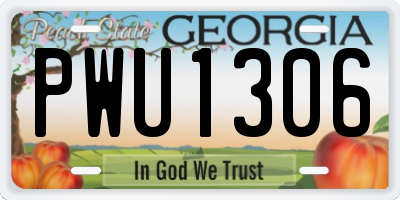 GA license plate PWU1306