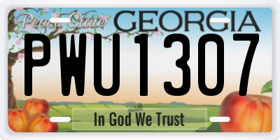 GA license plate PWU1307