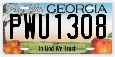 GA license plate PWU1308