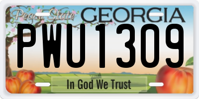 GA license plate PWU1309