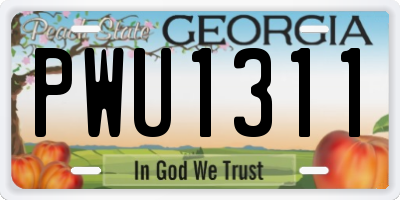 GA license plate PWU1311