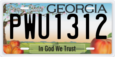 GA license plate PWU1312
