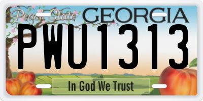 GA license plate PWU1313