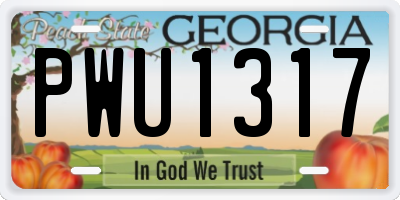 GA license plate PWU1317