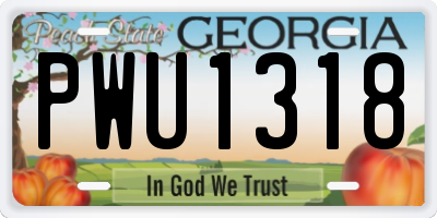 GA license plate PWU1318