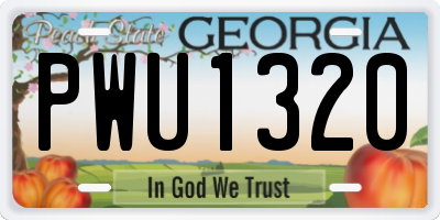 GA license plate PWU1320