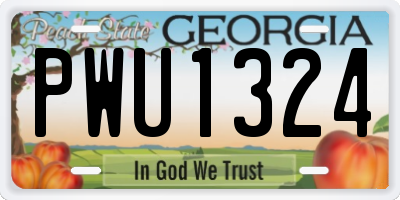 GA license plate PWU1324