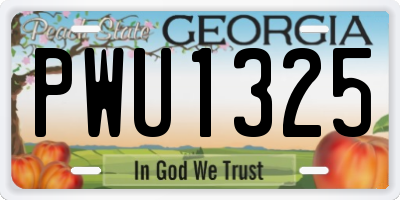 GA license plate PWU1325