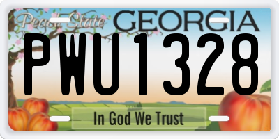 GA license plate PWU1328