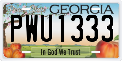 GA license plate PWU1333
