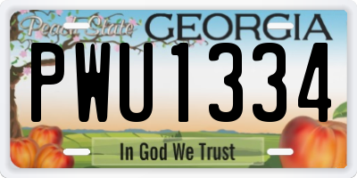 GA license plate PWU1334
