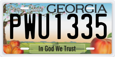 GA license plate PWU1335