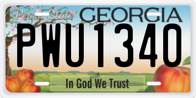 GA license plate PWU1340