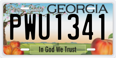 GA license plate PWU1341