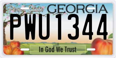 GA license plate PWU1344