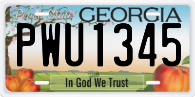 GA license plate PWU1345