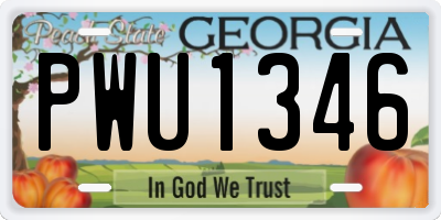 GA license plate PWU1346