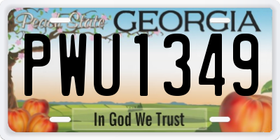 GA license plate PWU1349