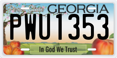 GA license plate PWU1353