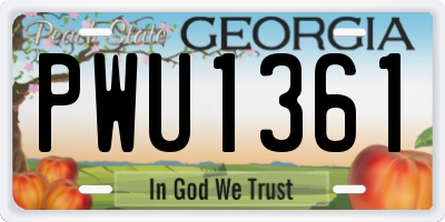 GA license plate PWU1361