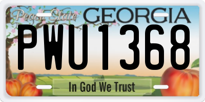 GA license plate PWU1368