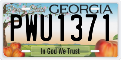GA license plate PWU1371