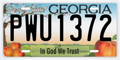 GA license plate PWU1372