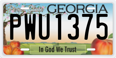 GA license plate PWU1375