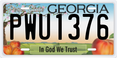 GA license plate PWU1376