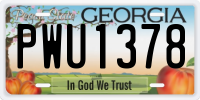 GA license plate PWU1378