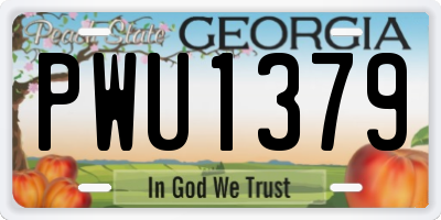 GA license plate PWU1379