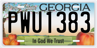 GA license plate PWU1383