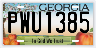 GA license plate PWU1385