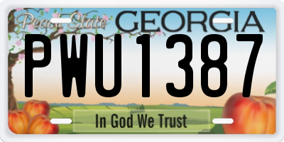 GA license plate PWU1387