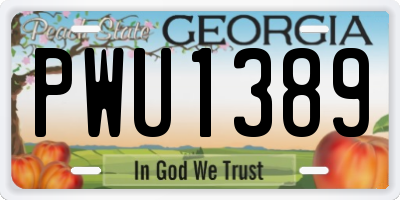 GA license plate PWU1389