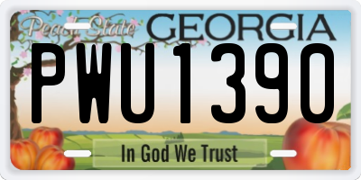 GA license plate PWU1390