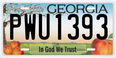 GA license plate PWU1393